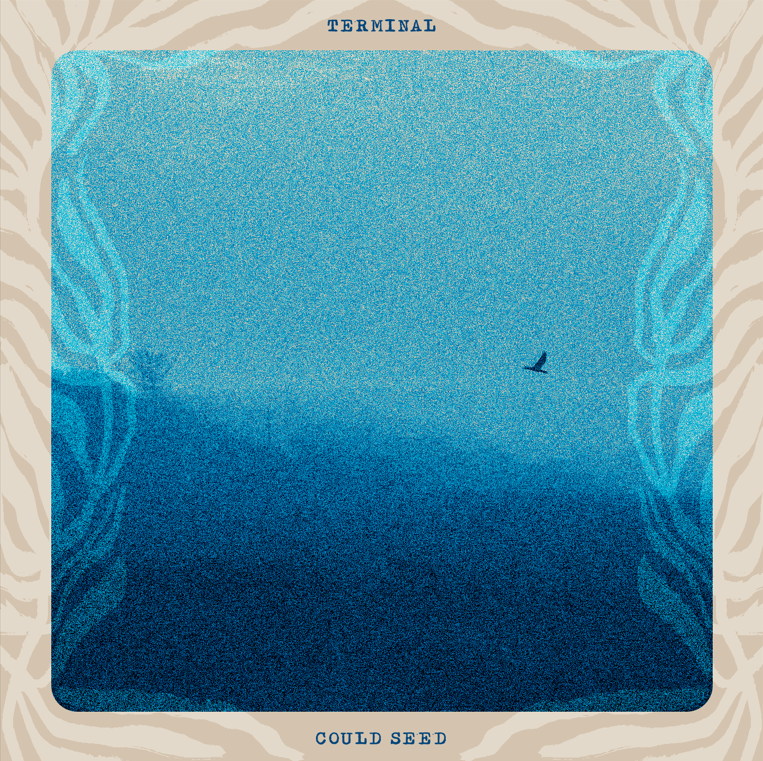 couldseedcover.png